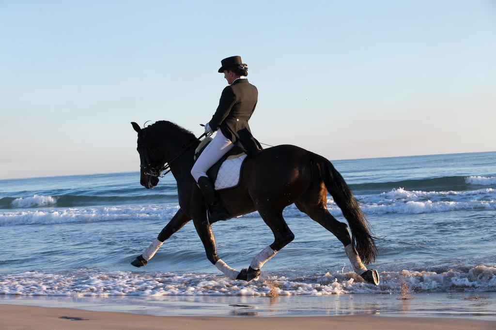 Pension Los Caballos Els Poblets Luaran gambar
